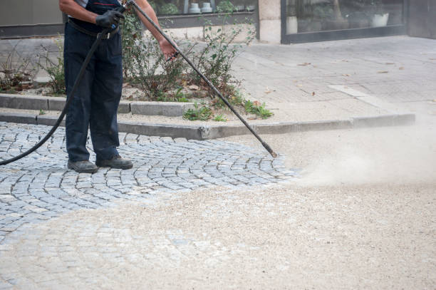 Best Gutter Cleaning  in Laurel Lake, NJ